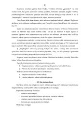Individualios įmonės „Stogdengėlis“ verslo planas 8 puslapis