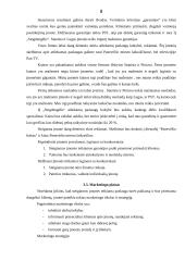 Individualios įmonės „Stogdengėlis“ verslo planas 8 puslapis