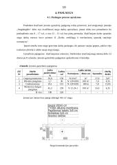 Individualios įmonės „Stogdengėlis“ verslo planas 10 puslapis