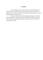 Valstybės personalo valdymo kokybė 11 puslapis