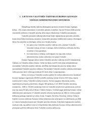 Valstybės personalo valdymo kokybė 3 puslapis