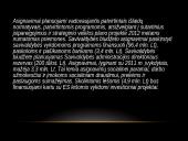 Klaipėdos miesto savivaldybės biudžetas 14 puslapis