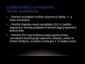 Klaipėdos miesto savivaldybės biudžetas 18 puslapis
