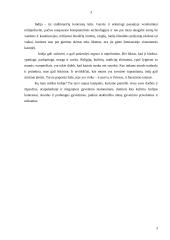 Kelionių geografija: Indija 3 puslapis