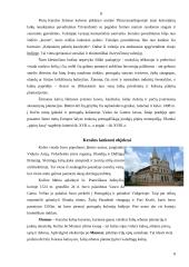 Kelionių geografija: Indija 8 puslapis