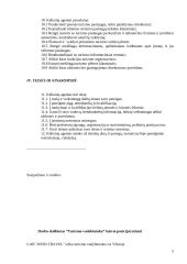 Turizmo įmonės organizacinė struktūra ir pagrindinės jos veiklos funkcijos 5 puslapis