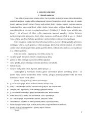 Organizacijų kūrimas 2 puslapis