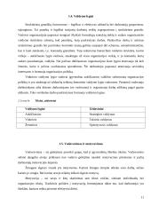 Organizacijų kūrimas 11 puslapis