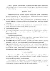 Organizacijų kūrimas 12 puslapis