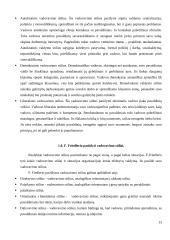 Organizacijų kūrimas 13 puslapis