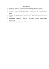 Organizacijų kūrimas 17 puslapis