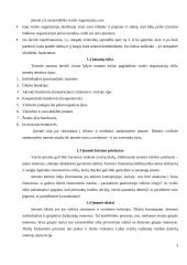 Organizacijų kūrimas 3 puslapis