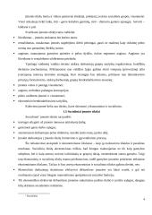 Organizacijų kūrimas 4 puslapis