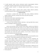 Organizacijų kūrimas 6 puslapis