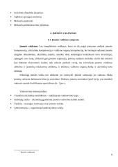 Organizacijų kūrimas 8 puslapis