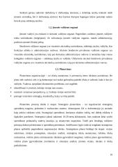 Organizacijų kūrimas 10 puslapis