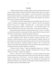 Švyturio-Utenos alaus įmonės analizė 11 puslapis
