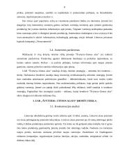 Švyturio-Utenos alaus įmonės analizė 8 puslapis
