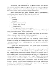 Švyturio-Utenos alaus įmonės analizė 10 puslapis