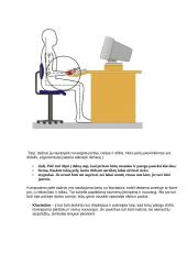 Kompiuterizuotos darbo vietos įvertinimas ergonomiškai 4 puslapis