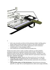 Kompiuterizuotos darbo vietos įvertinimas ergonomiškai 5 puslapis