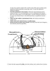 Kompiuterizuotos darbo vietos įvertinimas ergonomiškai 6 puslapis