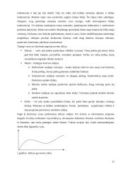 Vyno rinkos tyrimas kursinis 13 puslapis