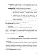 Vyno rinkos tyrimas kursinis 15 puslapis