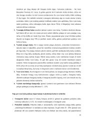 Vyno rinkos tyrimas kursinis 19 puslapis