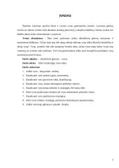 Vyno rinkos tyrimas kursinis 3 puslapis