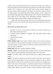 Vyno rinkos tyrimas kursinis 9 puslapis