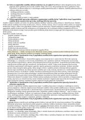 Darbo ekonomikos egzamino atsakymai 5 puslapis