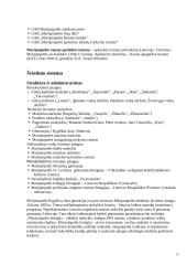 Socialinis bendruomenės tyrimas 5 puslapis