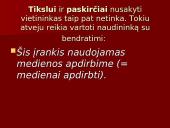 Vietininko vartojimo klaidos 11 puslapis