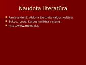 Vietininko vartojimo klaidos 13 puslapis