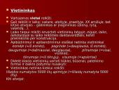 Vietininko vartojimo klaidos 3 puslapis