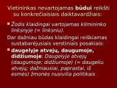 Vietininko vartojimo klaidos 5 puslapis