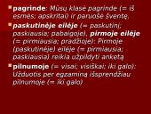 Vietininko vartojimo klaidos 6 puslapis