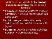 Vietininko vartojimo klaidos 7 puslapis