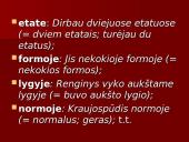 Vietininko vartojimo klaidos 8 puslapis