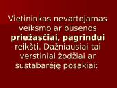 Vietininko vartojimo klaidos 9 puslapis
