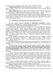 Investicinio projekto teorija 2 puslapis