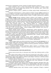 Investicinio projekto teorija 3 puslapis