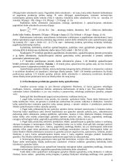 Investicinio projekto teorija 4 puslapis