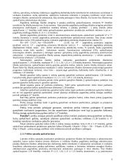 Investicinio projekto teorija 5 puslapis