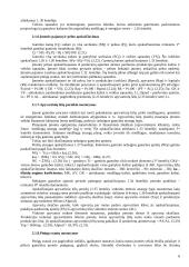 Investicinio projekto teorija 6 puslapis