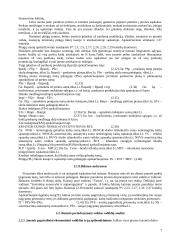 Investicinio projekto teorija 7 puslapis