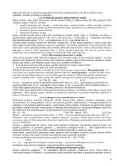 Investicinio projekto teorija 8 puslapis