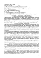 Investicinio projekto teorija 9 puslapis