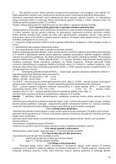 Investicinio projekto teorija 10 puslapis